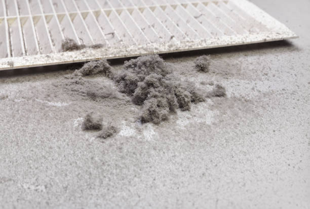Best Air Duct Cleaning Near Me  in Ester, AK