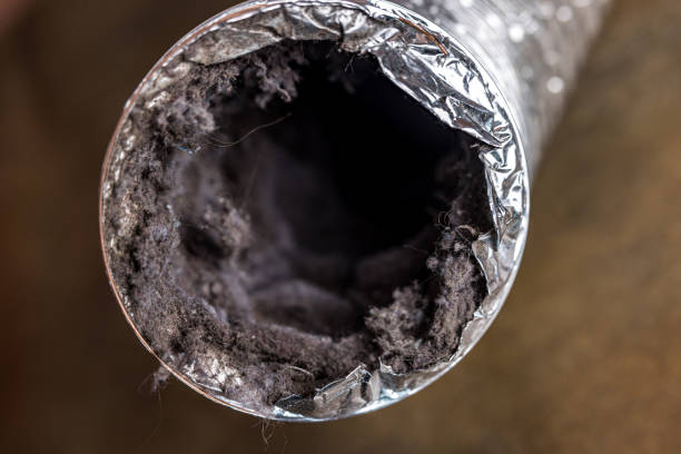 Best Affordable Air Duct Cleaning  in Ester, AK