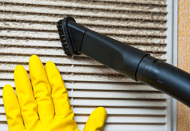 Best Air Vent Cleaning Services  in Ester, AK