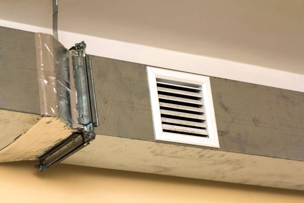 Best Professional Duct Cleaning Services  in Ester, AK